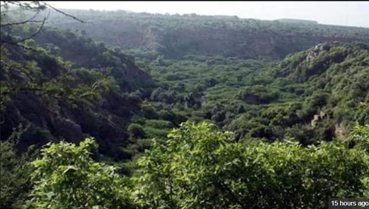 IMG 20190330 WA0006 1