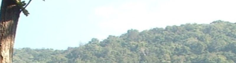 cropped dscf0053 mod1