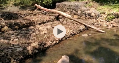 2D362736 67D4 4C76 8039 50E4B4DE7D44