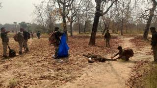 30F9EA9C 6A5E 4949 AE2B D9107F21C6E6