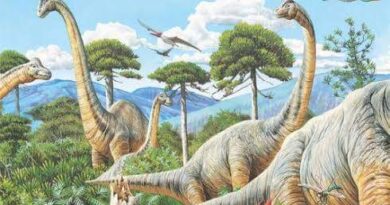 FB IMG 1721659431551