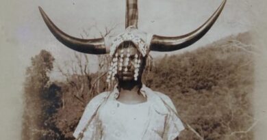 50abeaec ba68 4478 9a0a 3ea7bd822c0f