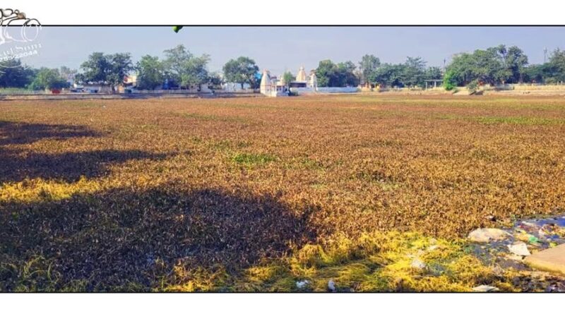 acac6eb9 e8e3 40eb bd20 bc76544a447d