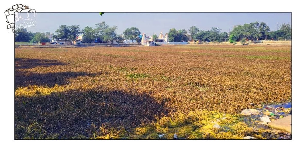 acac6eb9 e8e3 40eb bd20 bc76544a447d