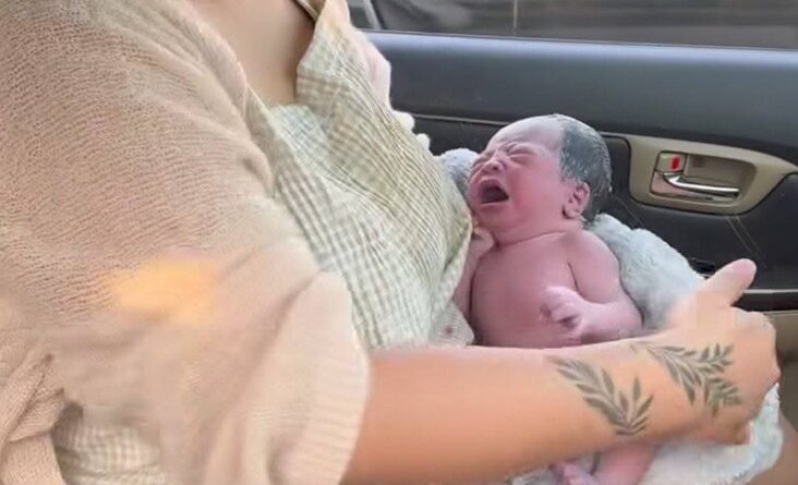 b85fb4d6 01ed 4d9e b42d d589e62f58a3