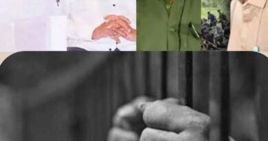 41ac1a67 6e15 41e0 ab9c 9e19c84c157f