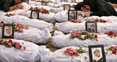 52f94fa2 b1a5 4d12 83e2 eb2158abeb7c