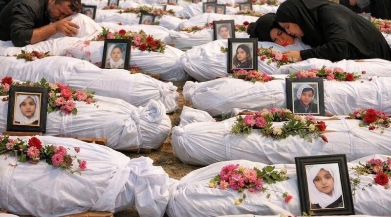 52f94fa2 b1a5 4d12 83e2 eb2158abeb7c