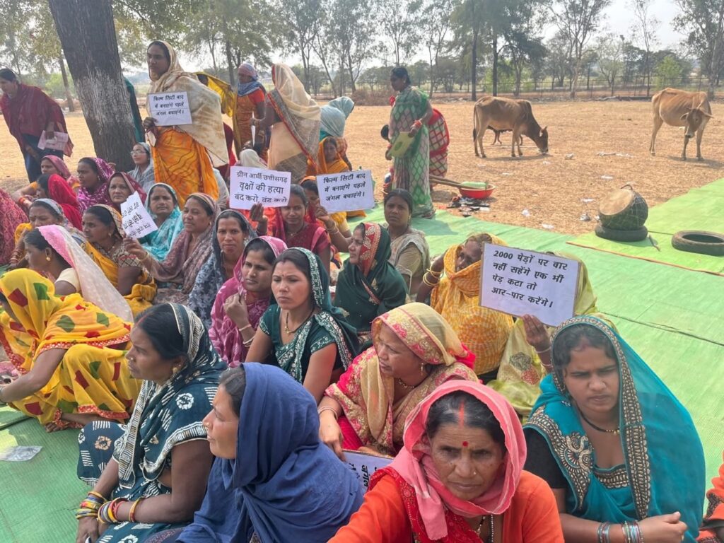 58d2a7c7 8c78 4fee a431 ae4ee8a1241c