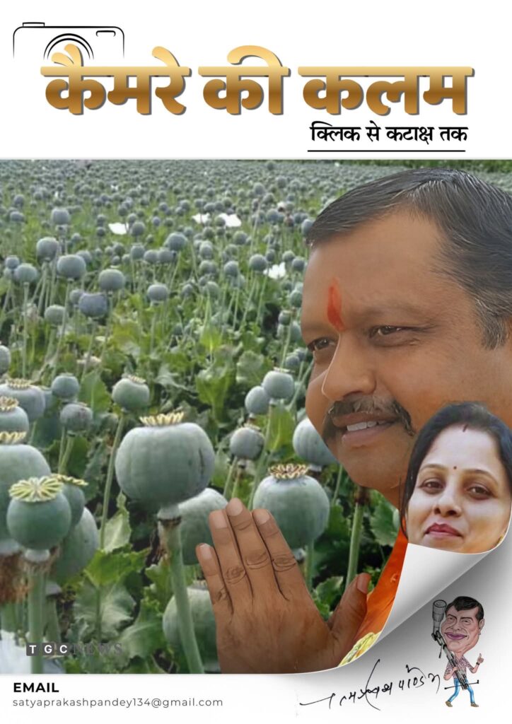 918f986b d99d 40a5 a371 dfa42fa8eb37