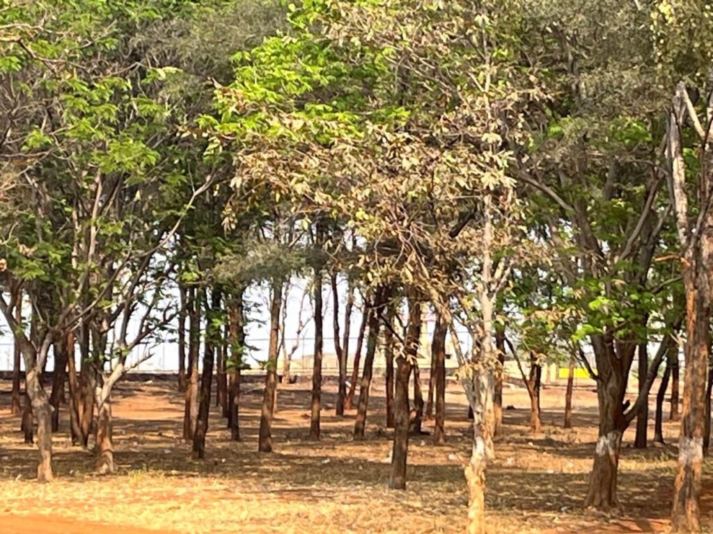 ba2ce219 66ce 4e4c a227 b5e9a865cc86