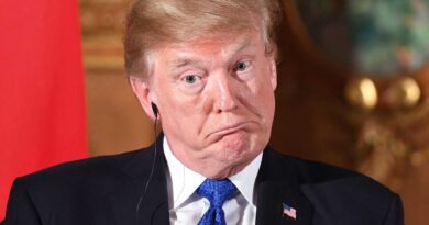 ddf7dfb3 8ed1 460d 8041 08d3e56415ce